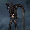 AVP.jpg