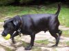 100_9297.jpg