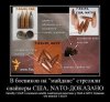 natobullets.jpg