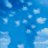 BluBird