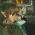 The Legend of Zelda: Twilight Princess