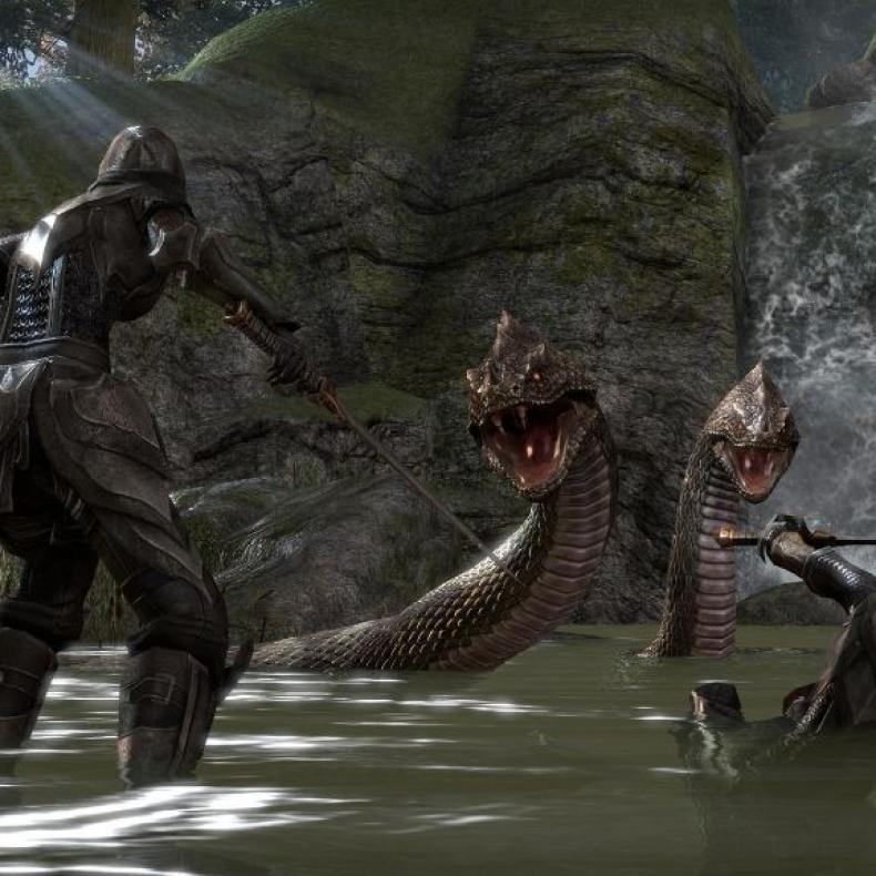 The Elder Scrolls Online